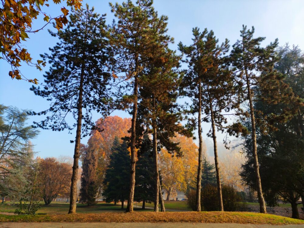 Scopri di più sull'articolo LE MIE FOTO DEL PARCO DEL VALENTINO