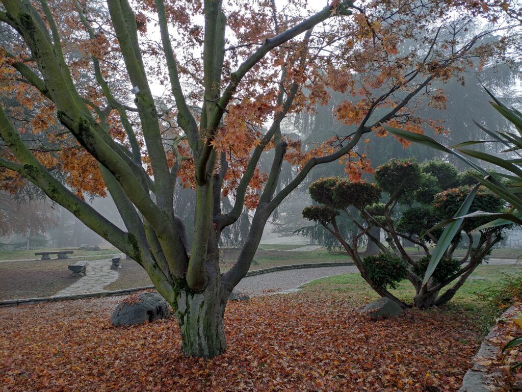 parco del valentino